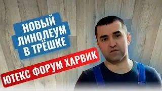 Линолеум новинка Ютекс Форум Харвик 3