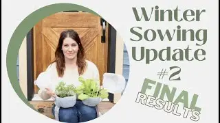 Winter Sowing || Update #2   Final Results || Carissa's Garden