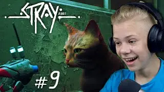 Спасение Друзей и Побег из Тюряги | Stray Прохождение #9