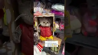Басики в курточке 🐈‍⬛❤️