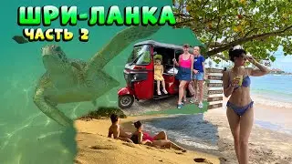 ШРИ-ЛАНКА - часть 2🌺Мы такого никогда не видели! Хочется вернуться вновь!❤️