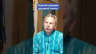 Главный принцип духовной жизни #ВасилийТушкин #ВраджендраКумар #VrajendraRu #shorts #веды #знание