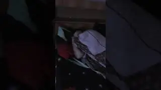 Брат лежит на кровати 