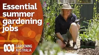 Summer gardening tasks you should not skip | Gardening 101 | Gardening Australia