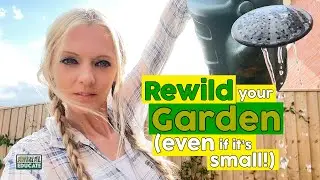 Rewild Your Garden (even if it's small!)