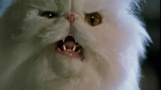 Cats & Dogs (2001) Mr. Tinkles WERE TRYING TO TAKE OVER THE WORLD?