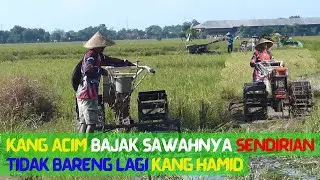 Kang Acim bajak sawahnya sendirian tidak bareng lagi Kang Hamid