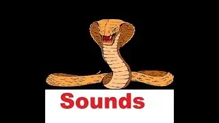 Snake Hiss Sound Effects All Sounds