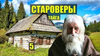 НАХОДКА ДЕД НАШЕЛ УБЕЖИЩЕ в ТАЙГЕ СТАРОВЕРЫ РАСКОЛЬНИКИ ДОМ в ЛЕСУ ИСТОРИИ из ЖИЗНИ КНИГА СЕРИАЛ 5