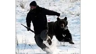 Медведь и человек испугались друг друга.