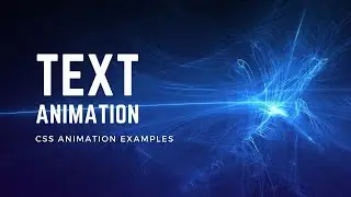 Pure CSS Text Reveal Animation | CSS Animation Examples