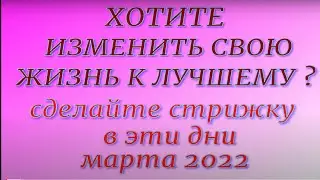 Стрижка волос привлечет счастье, достаток и благополучие... Лунный календарь стрижки на март 2022.