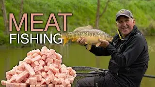 MEAT FISHING! Margin fishing for Carp at Rookery Waters!