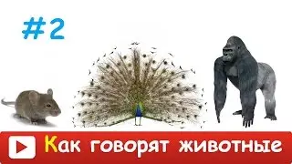 [ КАК ГОВОРЯТ ЖИВОТНЫЕ для ДЕТЕЙ 2] Развивающий МУЛЬТИК для ДЕТЕЙ. Звуки и голоса животных.