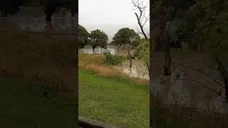 Palmerston North Park Flooded After Cyclone Gabrielle