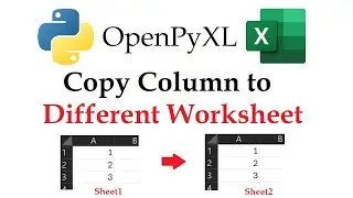 Openpyxl - Copy a Column to a Different Worksheet in Excel Workbooks with Python | Data Automation