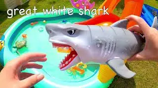 Learn Sea Animal Names for Kids | Bounce Toys off a Waterslide: Jellyfish Turtle Shark Crab