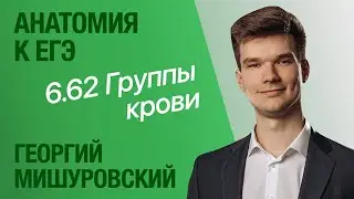 6.62. Группы крови | Анатомия к ЕГЭ | Георгий Мишуровский