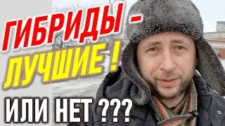 Гибрид - спасение или тупиковая ветвь? Электромашины. Гибрид или электромобиль.