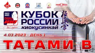 Кубок России 2023 по киокушинкай (киокусинкай). Татами В