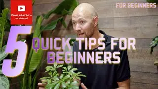 5 Quick plant tips for beginners 🌱