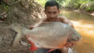 Fried Tasty Fish With Fresh Vegetables Recipe - Cooking Food In The Forest