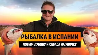 Рыбалка в Испании | Рыбалка в Испании с берега – ловим себаса и лубину в Гуардамар. Отдых в Испании