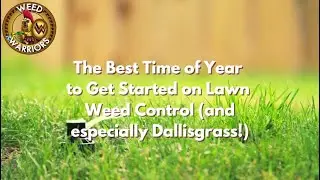 Control Dallisgrass in the Fall