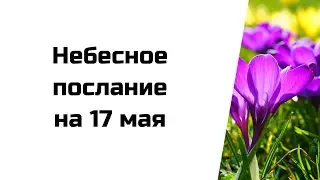 Небесное послание на 17 мая. Простое решение.