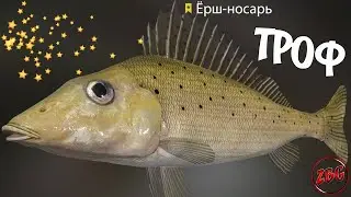 ЁРШ НОСАРЬ - ТРОФЕЙНЫЙ - р. Вьюнок💥РУССКАЯ РЫБАЛКА 4 | RUSSIAN FISHING 4🐟@Z-B-G