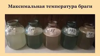 Максимальная температура воды для браги.