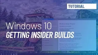 Windows 10 tutorial: Insider Preview build download