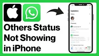 iPhone: WhatsApp Status Not Showing Problem (2024)