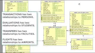 APEX30.DB01:  What does an animal shelter database have in common with other databases?  Lots!