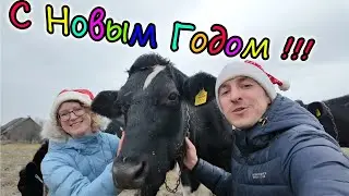 Итоги 2023 года // Поздравляем с наступающим Новым Годом!!! // Семья Лях