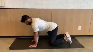 Fire Hydrant Exercise (Glute Medius Muscle)