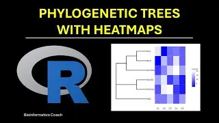 R Tutorial for Bioinformatics - Beginners Edition | Phylogenetic Trees with Heatmap using ggtree