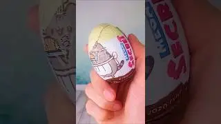 Распаковка сюрприза Megasecret Кот Пушин за 10 секунд 11/01/2024