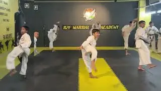 Karate half round kicks | karate faces kick