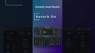 Vocal Reverb by Auto-Tune