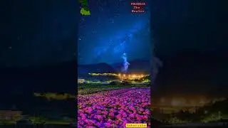 piano Melody | beautiful flower garden | night view with peaceful piano #shorts