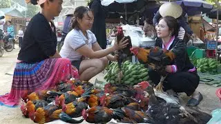 2 year living in forest , The most beautiful flock of wild chickens in market sold out in 5 minutes