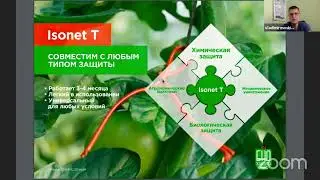 Средство от Tuta absoluta | Дезориентатор Isonet T