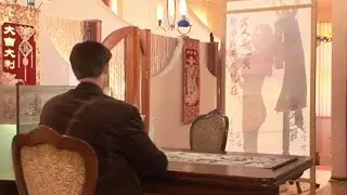Просвечивающая ширма Пранк See-Through Prank 