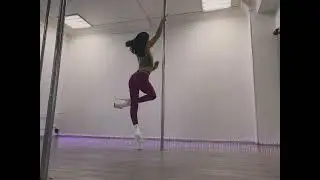 Exotic Pole Dance (экзотик полдэнс)/ daria__terra