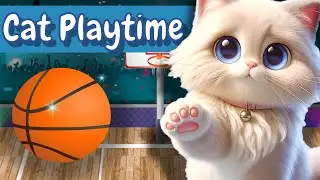 Basketball Cat Game for bored cats to watch on screen - Basketball Stadium 🏀