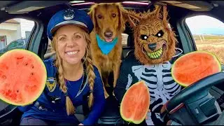 Police and Rubber Ducky Surprise Puppy and Wolf with Car Ride Chase!