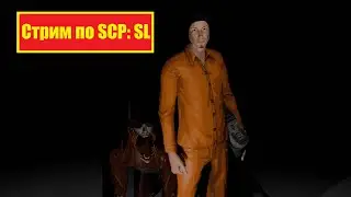 Стрим по игре SCP Secret Laboratory 163