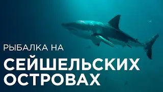 Морская рыбалка. Сейшелы. Fish travel expert Михаил Карпович ( Mikhail Karpovich )