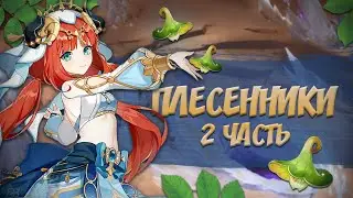 МАРШРУТЫ СБОРА ПЛЕСЕННИКОВ 2 ЧАСТЬ I Genshin Impact